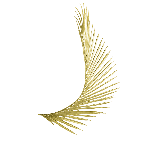 deco