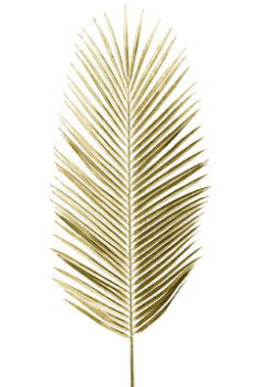 deco