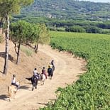 Camping les Tournels : Activités - Promenade à cheval