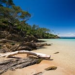 Campeggio Les Tournels: Escursione indimenticabile alle isole d’Or - Spiaggia di Notre-Dame