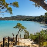 Campeggio Les Tournels: Escursione indimenticabile alle isole d’Or - La foresta e le spiagge dell’isola di Porquerolles