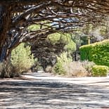 Campeggio Les Tournels: Escursione indimenticabile alle isole d’Or - Strada a Porquerolles