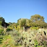 Campeggio Les Tournels: I tesori della Costa - Domaine du Rayol