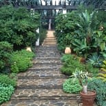 Campeggio Les Tournels: I tesori della Costa - Il giardino delle Mediterranee