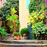 Campeggio Les Tournels: I tesori della Costa - Via di Bormes les mimosas