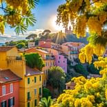 Campeggio Les Tournels: I tesori della Costa - Bormes les mimosas