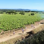 Camping les Tournels : Activités - Color run