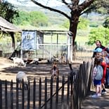 Campeggio Les Tournels: Club per bambini e adolescenti - Mini-fattoria a due passi dal campeggio