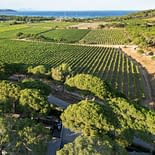 Campeggio Les Tournels: Villaggio - Alloggi con vista sulle vigne e sul mare