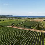 Campeggio Les Tournels: Villaggio - Vista aerea del Domaine viticole des Tournels