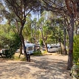 Camping Les Tournels: Kampeerplaats in het dennenbos