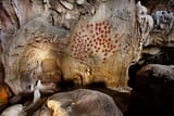 Ardèche - Grotte de Chauvet - Les rhinos © Patrick Aventurier
