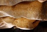 Ardèche - Grotte de Chauvet - Œuvre tracés au doigt © Patrick Aventurier