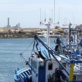 Les Terrasses de Kersiny - Le Phare d’Echmühl et la Pointe de Penmarc’h - Bateau de pêche