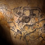 Ardèche - Grotte de Chauvet - Les rhinos © Patrick Aventurier