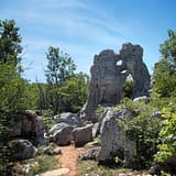 Ardèche - Le Bois De Païolive en Ardèche - Sculpture naturelle : ours et lion