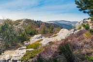 Ardèche - Mont Gerbier de Jonc