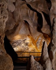 Ardèche - Chauvet Cave - Panel of the Horses ©Patrick Aventurier