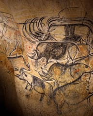 Ardèche - Grotte de Chauvet - Les rhinos © Patrick Aventurier