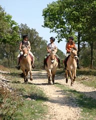 Camping La Plage Fleurie - Activités - Equitation