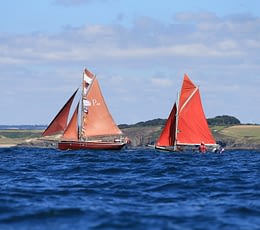 Les Terrasses de Kersiny - Fête maritimes de Douarnenez - Bateaux traditionnels dans la baie de Douarnenez