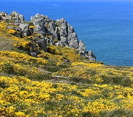 Les Terrasses de Kersiny - Camping Cap Sizun - Pointe du Van