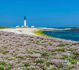 Les Terrasses de Kersiny - Campingplatz Audierne - Île de Sein