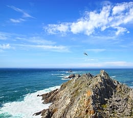Les Terrasses de Kersiny - Camping Pointe du Raz - Vue de la mer et de la falaise