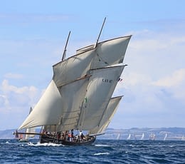 Les Terrasses de Kersiny - Fête maritimes de Douarnenez - Vieux gréement dans la baie de Douarnenez