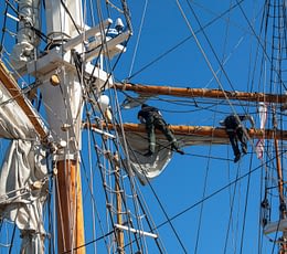 Les Terrasses de Kersiny - Fête maritimes de Douarnenez - Inspection des voiles sur une goëlette