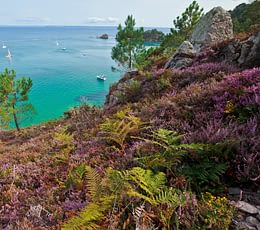 Les Terrasses de Kersiny - S’aventurer sur la presqu'ile de Crozon - Randonnée sur le GR34