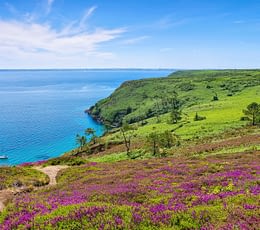 Les Terrasses de Kersiny - S’aventurer sur la presqu'ile de Crozon - Cap de la Chèvre