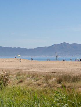 Camping Amfora - La plage - Grande plage de sable fin en accès direct