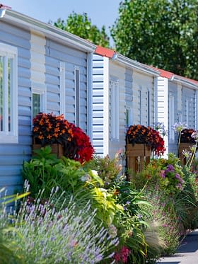 Campingplatz Amfora - Umweltbewusster Ansatz - Der Campingplatz verpflichtet sich zur Begr&uuml;nung der Wege