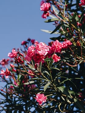 Campingplatz Amfora - Umweltbewusster Ansatz - 