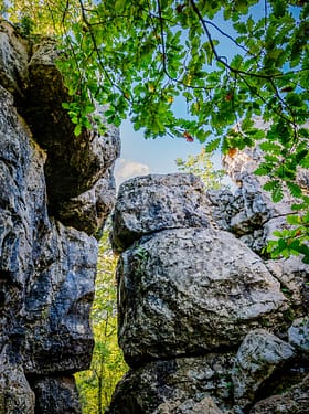 Ardèche - Le Bois De Païolive en Ardèche