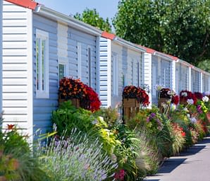 Campingplatz Amfora - Umweltbewusster Ansatz - Der Campingplatz verpflichtet sich zur Begr&uuml;nung der Wege