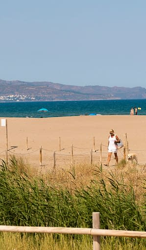 Camping Amfora - La plage - Chemin direct &agrave; la plage