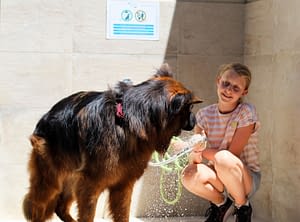 Camping les Tournels : Dog friendly