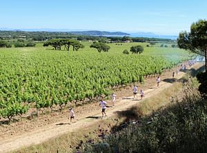 Campeggio Les Tournels: Attività - Color run
