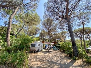 Camping les Tournels : Grand emplacement