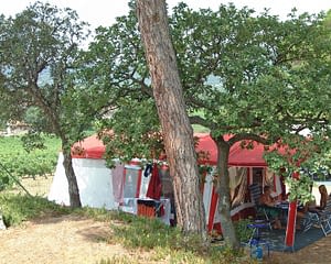 Kemp Les Tournels: Vynikající lokalita - blízko vinice Tournels