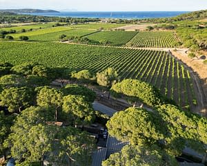 Campingplatz Les Tournels: Feriendorf - Mietunterkünfte mit Blick auf die Weinberge und aufs Meer