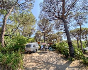 Camping les Tournels : Grand emplacement