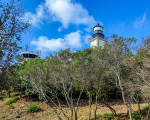 Camping les Tournels : à la découverte du Phare de Cap Camarat - Vue générale du phare