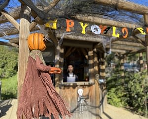 Camping les Tournels : halloween