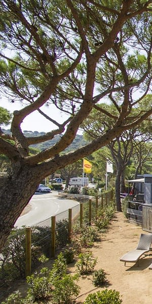 Camping Les Tournels: Cottage voor 8 personen L'Oustaloun - luchtfoto van de accommodatie