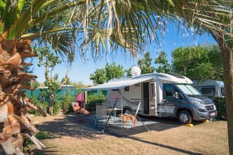Camping Le Brasilia, emplacement de camping car, palmiers