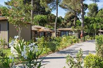 Camping Le Brasilia, team,