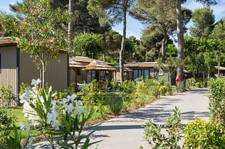 Le Brasilia campsite, team